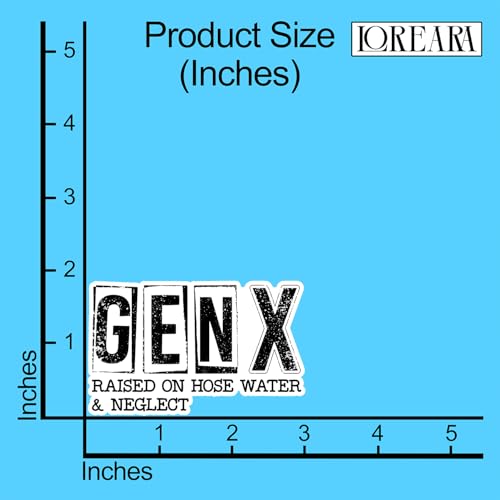 (3Pcs) Gen X Raised On Hose Water and Neglect Sticker Funny Sarcastic Sticker Decorate Waterproof Vinyl Decal for Laptop Water Bottle Phone Case Kindle Tumbler Notebook Hard Hat Size 3x1.9 Inches