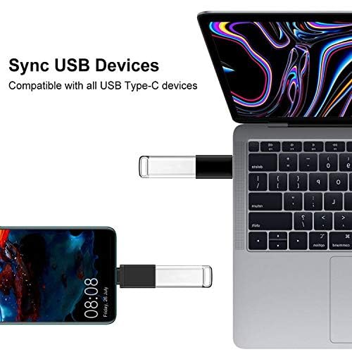 10-Piece Type C Adapter Kit, Compatible with Micro USB/Type C/USB OTG Adapter, Travel Case with and Carabiner, Includes USB Type C Cable