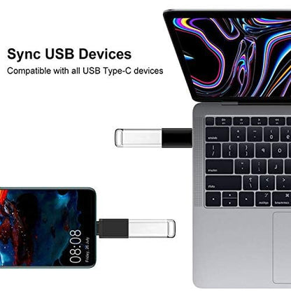 10-Piece Type C Adapter Kit, Compatible with Micro USB/Type C/USB OTG Adapter, Travel Case with and Carabiner, Includes USB Type C Cable