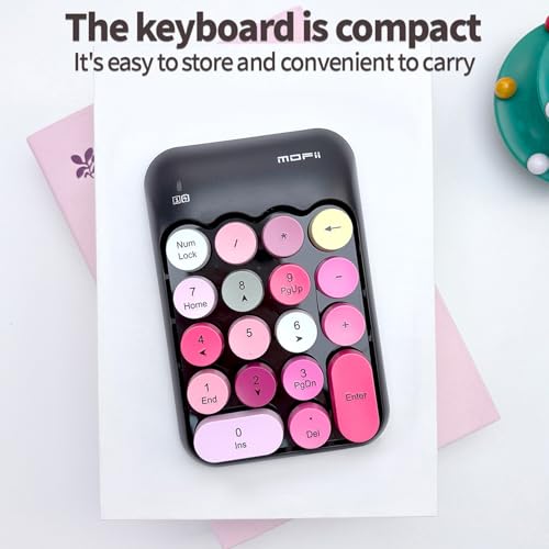 Sahara - Wireless Numeric Keypad, Retro Round Keycaps, Portable Number Pad with Ergonomic Design, USB Receiver, Compatible with Laptop/Desktop PC (Black/Pink) - color: Black/Pink