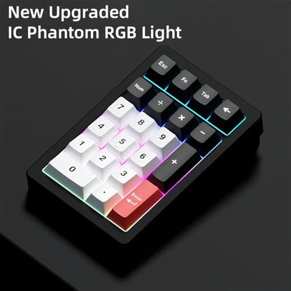 PANDA20 Mechanical Number Pad,VIA/QMK Programmable Macro Numpad Aluminum CNC Hot Swappable Gasket Wireless Numeric Keypad BT5.0/2.4Ghz/USB-C RGB Gaming Keypad for Laptop/PC (Black) - color: Black