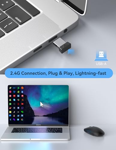 TECKNET Wireless Mouse, 2.4G Computer Mouse for Laptop, 4800 DPI Silent Mouse with USB Receiver, Slim Portable Travel Mouse Compatible with MacOS Windows Android PC Chromebook, 18 Months Battery Life - color: Black & Grey
