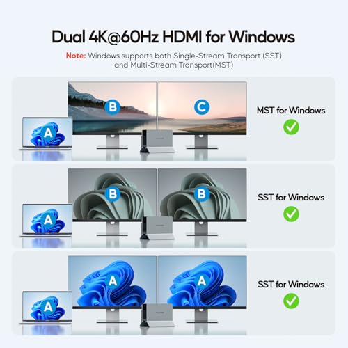 USB C Laptop Docking Station Dual Monitor, 11 in 1 Vertical Dock with 2 HDMI 4K, 3 USB A/C 10Gbps, 2USB-A 5Gbps, USB A 2.0, Ethernet, Docking Station Stand for Type-C Laptops - Black