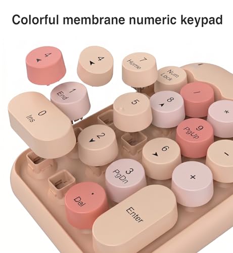 Lomiluskr Cute Wireless Number Keypad with 2.4G USB Receiver, 18 Colorful Round Keys Numpad, Portable Financial Accounting Numeric Keyboard, Suitable for PC, Laptop (Milk Tea) - color: Milk Tea