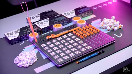 Glorious Lube Brush for Mechanical Gaming Keyboard Switches and Stabilizers (GLO-Acc-LUBE-Brush)