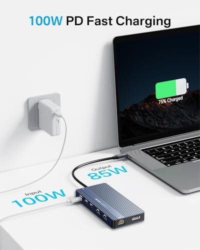 USB C Docking Station Dual Monitor, 14 in 1 USB C Hub, Adapter with 2 HDMI+DP(4K60Hz), Ethernet, 3 USBC 10G,100W PD, SD/TF, Audio, Laptop Docking Station for Dell/HP/Lenovo/ThinkPad/Surface (Grey) - color: Grey