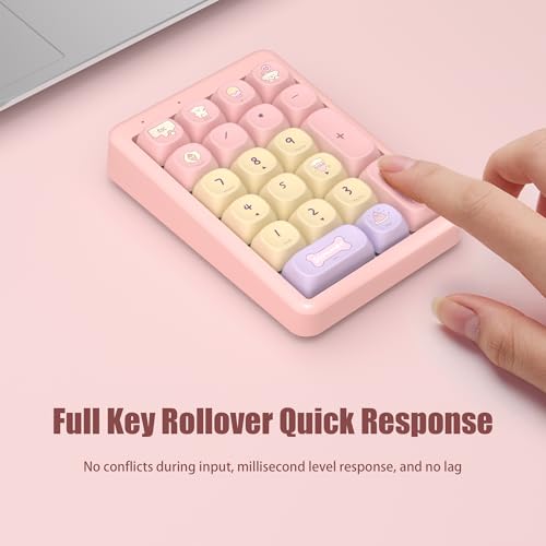 Wireless Number Pad Keyboard Mechanical Numpad Numeric Keypad for Laptop | Bluetooth Creamy 10 Key RGB Portable Cute Financial Accounting Rechargeable for Windows, PC, BT5.0/2.4G, Pink S21 - color: Pink