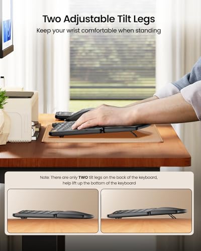 ProtoArc EKM04 2.4GHz Wireless Ergonomic Keyboard Mouse Combo - Black | Separate Numeric Keypad, USB Receiver, Split Design, Hard Wrist Rest, Rechargeable, for Windows Desktop/PC/Laptop