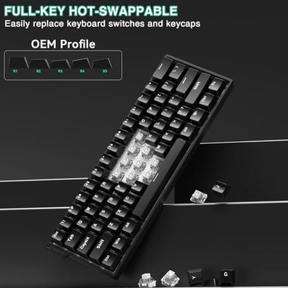 Aula MINI60 HE Wireless Gaming Keyboard 60%,Hall Effect Rapid Trigger Magnetic Keyboard,8000Hz Polling,Tri-Mode(BT5.0/2.4GHz/USB-C),Hot Swappable Compact Mechanical Keyboard for Gamer(Black) - color: Black
