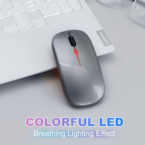 Wireless Bluetooth Mouse Rechargeable Long Lasting Dual Mode - BT 5.2 & 2.4G Silent RGB LED Mice, Slim Portable Ergonomic Mouse for Laptop/PC/Tablet/MacBook/iPad/Apple Devices(Grey) - color: Grey