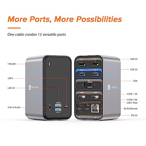 13-in-2 USB C Docking Station Dual Monitor with 100W Laptop Charger