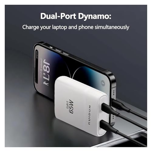 65W GaN USB C Charger,Dual-Port Fast Wall Charger,PD 3.0 & QC 4.0,Foldable Plug for MacBook Pro/Air, iPhone 15, iPad Pro, Galaxy S24, Steam Deck & More,White - color: White-2C