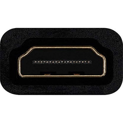 Belkin HDMI to VGA Adapter Kit with 3.5mm Audio, Black | Connects HDMI laptops to VGA projectors and monitors, includes audio output, classroom and conference use