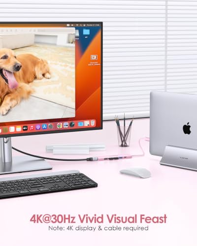 LENTION 6-in-1 USB C Hub, 4K@30Hz HDMI, 100W PD, 1 USB 3.0, 3 USB 2.0 | Ideal for Work & Study, Stable Driver 3.0 Certified, Compatible with macOS, iOS/iPadOS, Windows & ChromeOS (CH17, Rose Gold) - color: Rose Gold