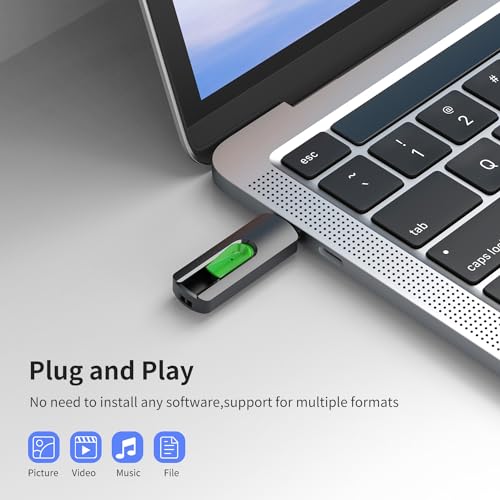 RAOYI 20Pcs 32GB USB Flash Drives Slide Retractable Memory Stick Bulk USB 2.0 Thumb Drive Jump Drive Zip Drive USB Sticks Data Storage Backup for PC Mac (32G, 10 Mixed Color) - color: 10 Mixed Color 20 Pack, size: 32GB-2.0