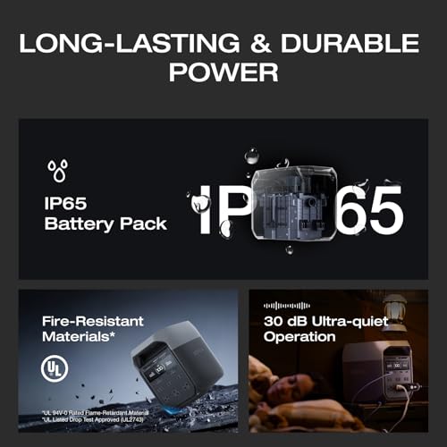 EF ECOFLOW Solar Generator Delta 3 with 220W Bifacial Panel, 1024Wh 1800W | Portable Power Station, LFP Battery 1800W AC/100W USB-C Output, Full Charge in 56 Min for Home Backup Power, Camping & RVs - style: DELTA 3+220W