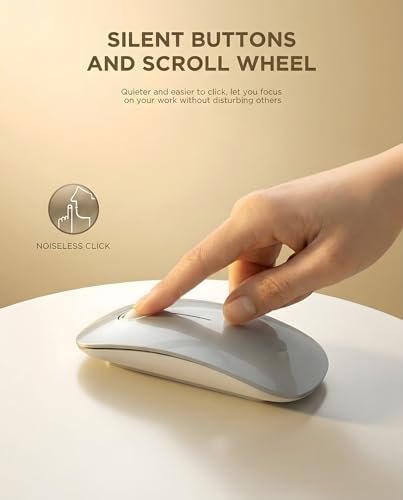 RAPIQUE Bluetooth Wireless Mouse, BT5.1/2.4G Dual Mode, Silver | Slim Profile, Two Ways to Connect, Quiet Click, Low Power, 1600 DPI, Portable for MacBook, Laptop, iPad and Chromebook - color: Silver