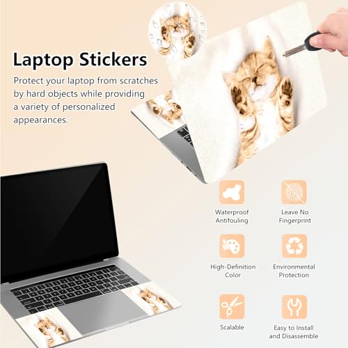 Laptop Skin Sticker Decal 15.6 Inch,12 13 13.3 14 15 15.6 in Laptop Netbook Skins for Notebook,Art Decal Removable Waterproof Scratch Resistant,Universal Vinyl Cover,Cute Cat Sleep - color: Cute Cat Sleep