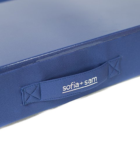All-Purpose Lap Desk Color: Blue