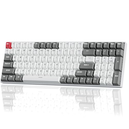 RK ROYAL KLUDGE RK100 Wireless Mechanical Keyboard RGB Backlit Bluetooth5.1/2.4G/Wired 96% Full Size 100-Key Hot Swappable Gaming Keyboard Red Switch Classic - color: Classic, size: Hot Swappable Red Switch
