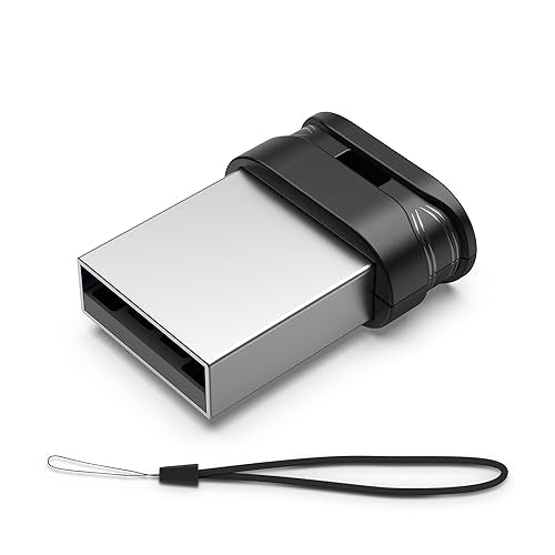 RAOYI 16GB USB Flash Drive, USB 2.0 Mini Fit Memory Stick Ultra Slim Thumb Drive Jump Drive Zip Drive Pen Drive with Lanyard-Black - color: black 1 pack, size: 16GB-2.0