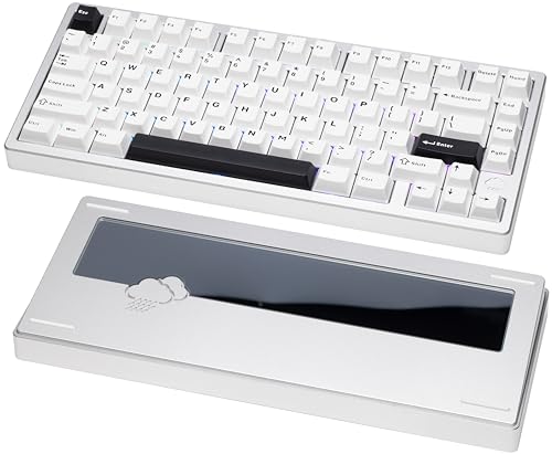 KEEBMONKEY WOBKEY Rainy 75 CNC Aluminum HMX/JWK/Cocoa Switches Triple-Mode Connectivity Mechanical Keyboard with Superior Acoustics, RGB/PP/Mirrored Glass/3500mAh/Violet Switch (Standard - Silver) - style: Standard - Silver