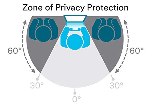 3M Privacy Filter for 10.1" Widescreen Laptop (PF101W9B)