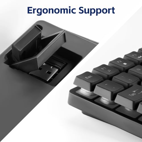 CHONCHOW Wireless Keyboard, Rechargeable Mini Quiet Keyboard, Thin Tenkeyless Design, 87 Key RGB Backlit, Small Compact Keyboard, Light Up Mechanical Feel Keyboard for Xbox PS4 PS5 PC Laptop Gamer
