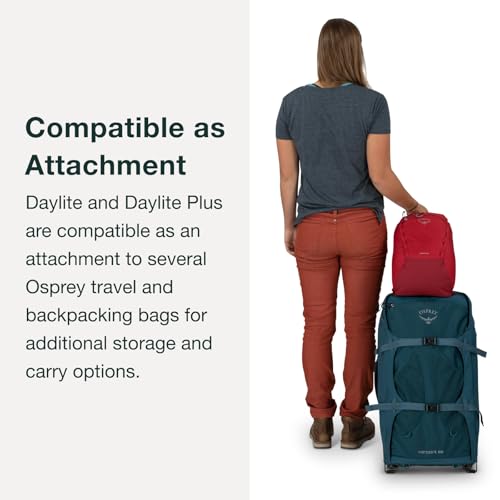 Osprey Daylite Plus Commuter Backpack – Lightweight, Everyday Pack with Laptop Sleeve and Water Bottle Pockets – Ideal for Work, School, and Travel, Tunnel Vision Grey Amazon Exclusive - color: Tunnel Vision Grey - Amazon Exclusive