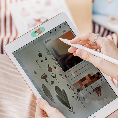 MESMOS Laptop Camera Cover Slide Cute, Laptop Accessories, Computer Camera Webcam Cover Slide, Web Cam Privacy Cam Blocker. Fits MacBook Pro & Air, iPad iMac (Large) - size: Large