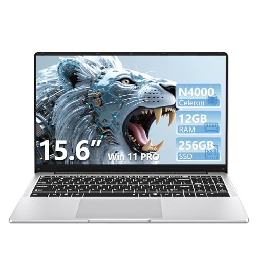 DUNHOO Laptop, 15.6’’ Laptop Computer with Celeron Processor N4000, 2Cores 2Threads, 8GB RAM DDR4 256GB SSD Laptops, UHD Graphics 600, Lap Top 180°Hinge, FHD 1920 * 1080, WiFi 5, BT 4.2, Win 11 Pro