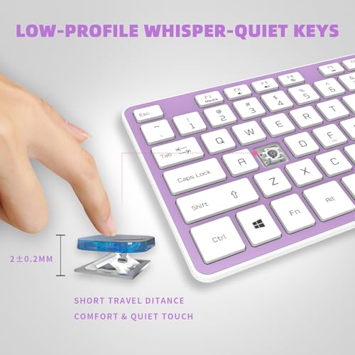 USB Wired Keyboard for Window,Comfortable Quiet Chocolate Keys, Durable Ultra-Slim Wired Computer Keyboard(QWERTY) for PC, Windows 11/10/8/7/XP/Vista KB1430 - color: purple