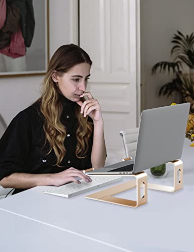 ALASHI Laptop Stand for Desk, Aluminum Computer Riser, Ergonomic Notebook Holder, Detachable Metal Laptops Elevator, PC Cooling Mount Support 10 to 15.6 Inches Notebook, Gold - color: D-Gold
