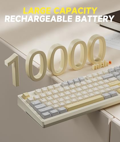 SOLAKAKA KI99 Pro 96% Wireless Gaming Keyboard, RGB Creamy Keyboardw with Knob, Hot-Swappable Pre-Lubed Switches, Gasket Structure Mechanical Keyboards (Beige-White, Non-Silent Version) - color: Beige-White, size: Non-Silent Version