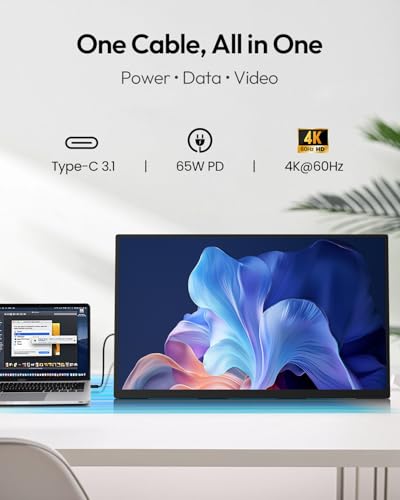 MESWAO 24 Inch Portable Monitor 120Hz FHD IPS Laptop Screen Extender, Large Travel Monitor with NO-Tipping 180° Stand & VESA, HDMI USB-C Second Screen for MacBook PC Home Office Gaming - size: 23.8