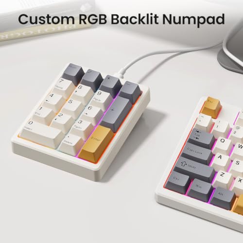 Kisnt MF17 Wired QMK/VIA Mechanical Numpad for Excel Financial Data Entry | QMK/VIA Programmable, Wired 17 Keys Hot Swappable, Custom RGB with PBT Keycaps for Laptops PC Compact Keyboards (Retro Beige) - color: Retro Beige