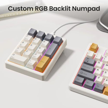 Kisnt MF17 Wired QMK/VIA Mechanical Numpad for Excel Financial Data Entry | QMK/VIA Programmable, Wired 17 Keys Hot Swappable, Custom RGB with PBT Keycaps for Laptops PC Compact Keyboards (Retro Beige) - color: Retro Beige