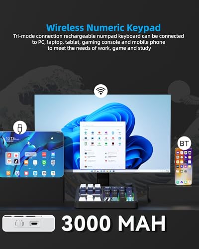 Womier SK30 Mechanical Numpad, Mini Keyboard with Screen & Knob,Black | Bluetooth/2.4G/USB-C Wireless Numeric Keypad,Macro Software RGB Number Pad Hotswap,Rechargeable Number keypad for Mac Windows - color: Black
