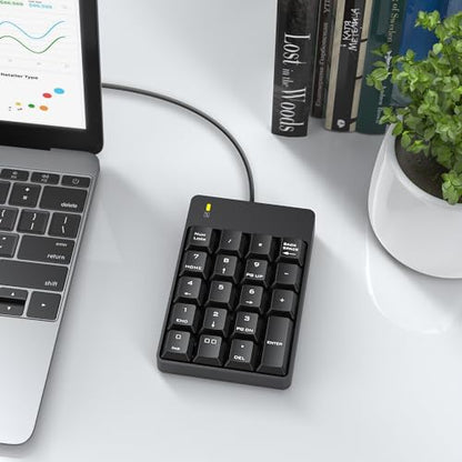 TechGarden Wired Number Pad, USB Numeric Keypad 19 Key Number Keypad Keyboard for Laptop PC Computer Notebook, Big Print Letters - Black