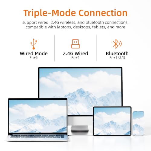 K19Pro Numeric Keyboard, Long-Lasting Version (Without RGB) | Wireless Mechanical Number Keypad Hot-swappable Bluetooth Numpad 5.0/2.4GHz Mac Win iOS Android - color: (Without RGB)Grey 19 Key