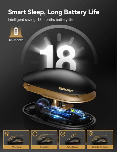 TECKNET Wireless Mouse, 2.4G Computer Mouse for Laptop, 4800 DPI Silent Mouse with USB Receiver, Slim Portable Travel Mouse Compatible with MacOS Windows Android PC Chromebook, 18 Months Battery Life - color: Black Gold