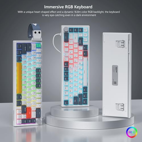 Womier 60% Gaming Keyboard Wired, Creamy Mechanical Keyboard QMK/VIA | Hot Swappable Gasket Mount RGB Key board & Translucent Keycaps POM Linear Switch for Windows/MAC (VK66 PRO White) - color: V-White Grey