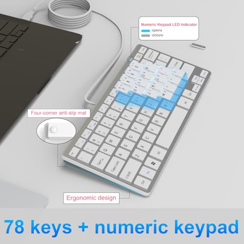 Ultra-Slim 78keys USB Mini Wired Keyboard with Media Hotkeys for Apple Mac Pro, MacBook 56Pro/ iMac, Air, Mac mini, Laptop Computers, Windows Desktop PC 11/10/8/7, with USB-A to C OTG Adapter, White - color: Silver White, size: USB-A