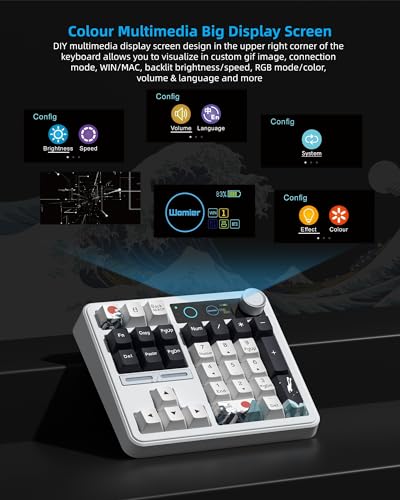 Womier SK30 Mechanical Numpad, Mini Keyboard with Screen & Knob, White | Bluetooth/2.4G/USB-C Wireless Numeric Keypad,Macro Software RGB Number Pad Hotswap,Rechargeable Number keypad for Mac Windows - color: White