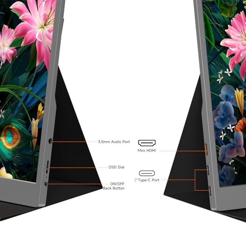 AYY Portable Monitor 15.6inch 1080P FHD, USB-C HDMI Computer Display, HDR IPS Gaming Monitor w/Premium Smart Cover & Screen Protector, Dual Speakers, for Laptop PC MAC Phone PS4 Xbox Switch, Grey - size: 15.6 inch, style: 60Hz/IPS/eyes care