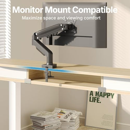HUANUO 40" X 24" Electric Standing Desk with 2 Drawers, C-Clamp Mount Compatible, Height Adjustable Computer Desk, Home Office Stand Up Desk with 4 Preset Heights & 2 Hooks, Light Walnut - color: Light Walnut, size: 40" X 24"