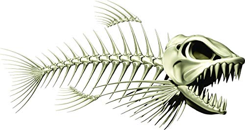 Skeleton Beautiful Fish Decal | Fishing Decal for Boat, Car, Vehicle, Truck Etc. | Waterproof Vinyl Sticker | Many Sizes & Styles Available | 12" to 40" by Digital Fish Art (Large, Position 1R) - color: Position 1r, size: Large