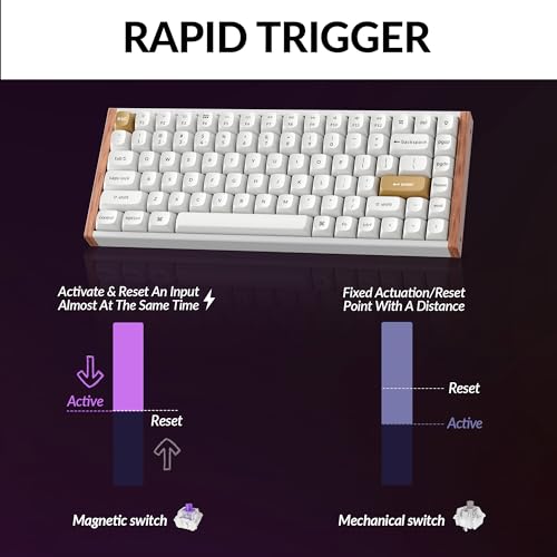 Keychron K2 HE Rapid Trigger Wireless Custom Keyboard with Hall Effect Gateron Double-Rail Magnetic Switch, 2.4 GHz QMK Bluetooth 5.2 RGB Compatible with Mac Windows Linux (Aluminum + Wood) - color: Gateron Double-Rail Magnetic Switch - White