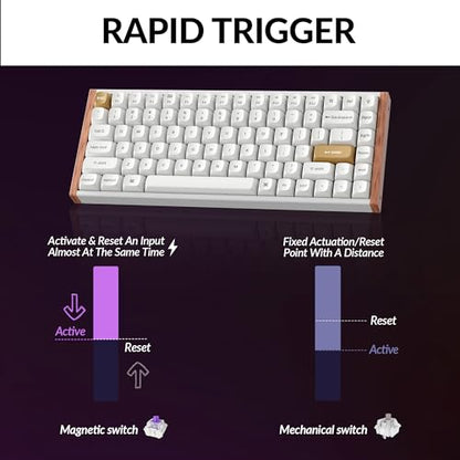 Keychron K2 HE Rapid Trigger Wireless Custom Keyboard with Hall Effect Gateron Double-Rail Magnetic Switch, 2.4 GHz QMK Bluetooth 5.2 RGB Compatible with Mac Windows Linux (Aluminum + Wood) - color: Gateron Double-Rail Magnetic Switch - White