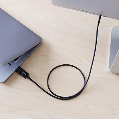 Amazon Basics Bi-Directional USB-C to DisplayPort Cable, 4K@60Hz, Compatible with MacBook Pro/Air and Thunderbolt 3, 3 ft, Black - size: 3 ft